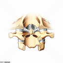 Articulacin Atlantoaxoidea