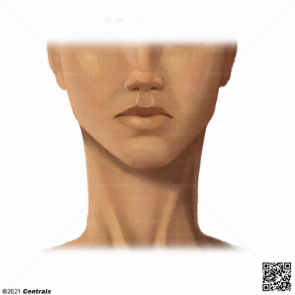 Chin