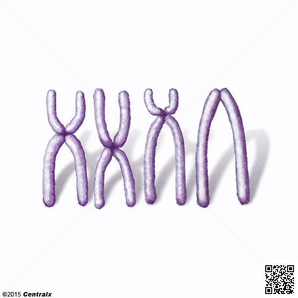 Chromosomes